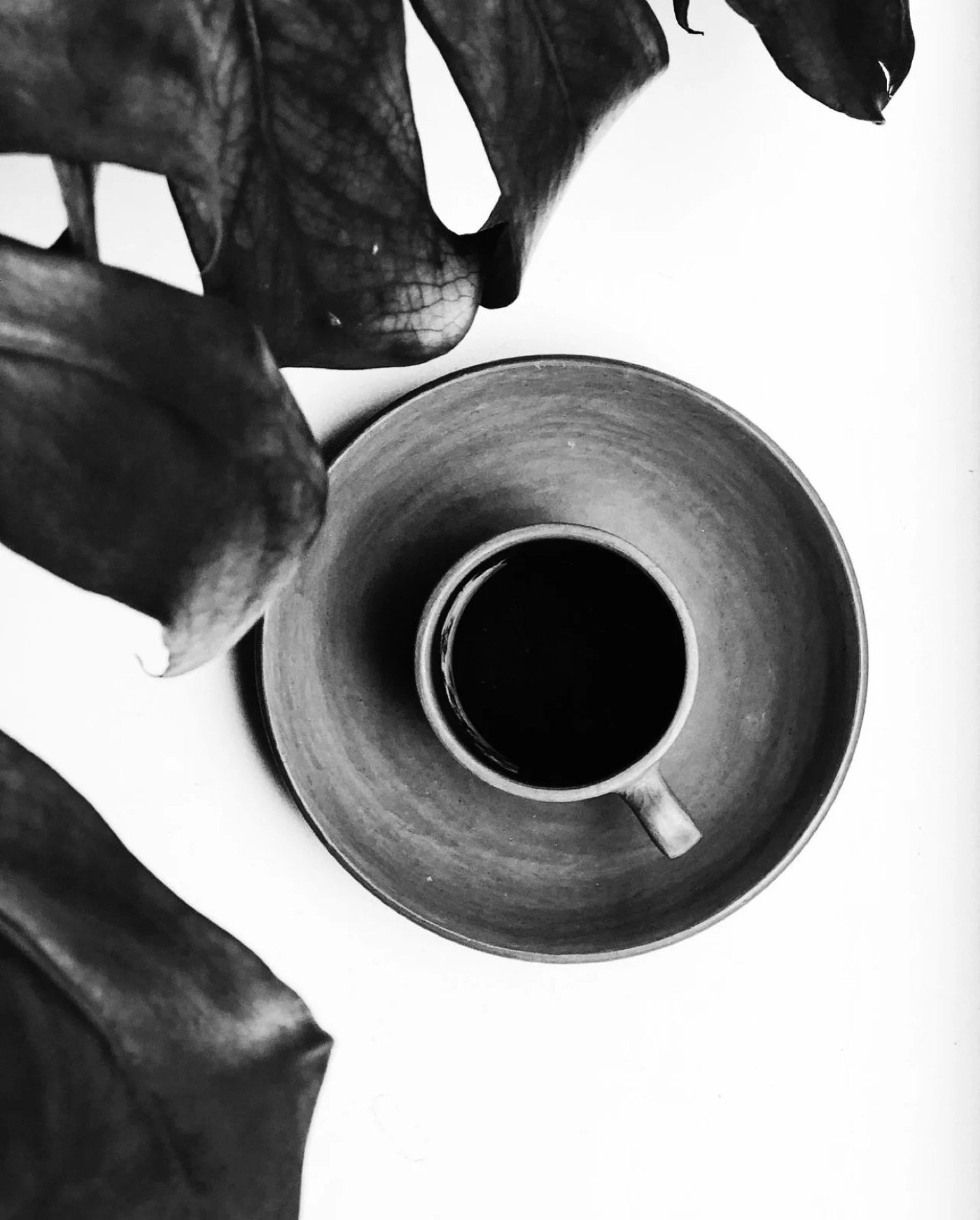 An overhead black and white shot of an espresso cup on a saucer beside dark plant leaves